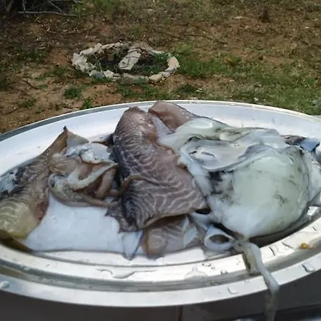 Krka Fairytale Village