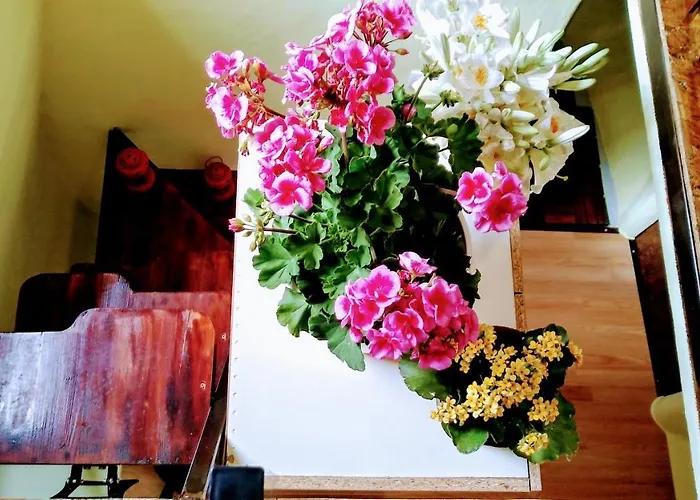 אתר קמפינג Krka Fairytale Village Rupe